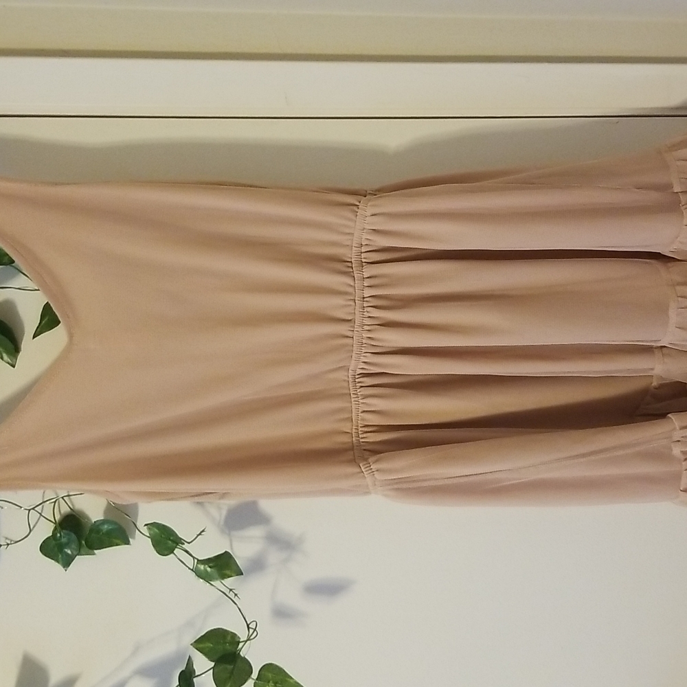 Light Pink Ruffled Dress - Picture 4 of 5